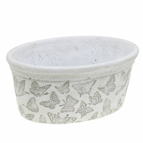 Floristik24 Växtkrukaskål vit med fjärilar 21cm x 14cm H9,5cm 2st