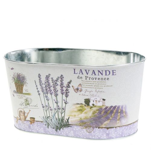 Floristik24 Plantskål Lavendel oval 22,5 cm x 13,5 cm H11 cm