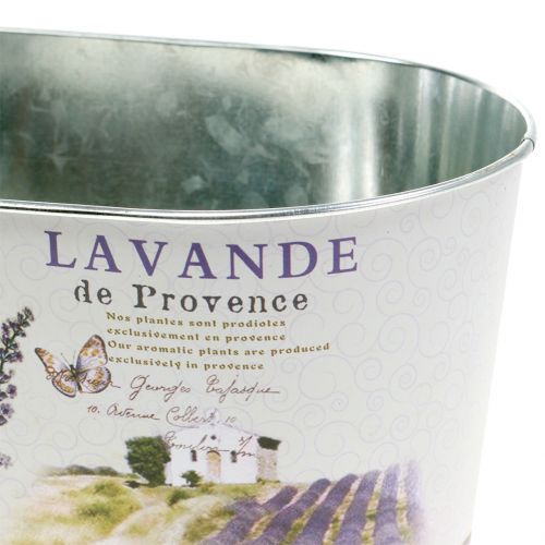 Floristik24 Plantskål Lavendel oval 22,5 cm x 13,5 cm H11 cm