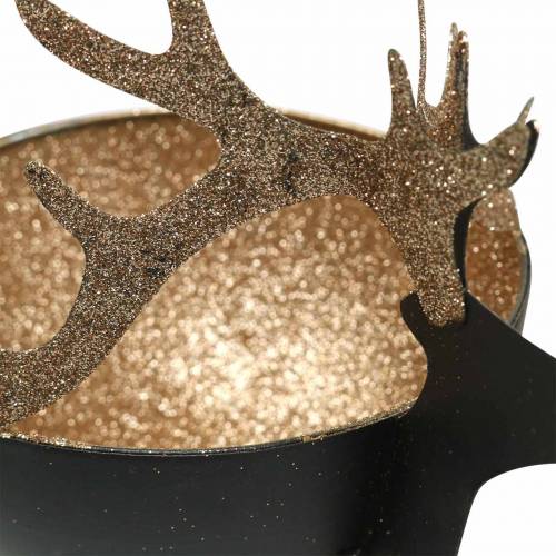 Artikel Skål med renhuvud Svart, gyllene metall Ø11/14cm Set om 2