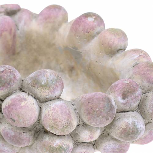 Floristik24 Dekorativ skål druvor grå lila kräm 19×14cm H9,5cm
