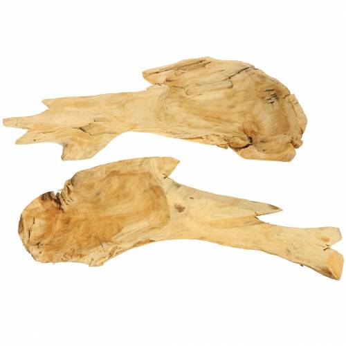 Floristik24 Rotträskål 50cm x 17cm H8cm