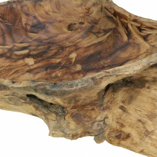 Floristik24 Burl träskål flamad 70cm x 27cm H12cm