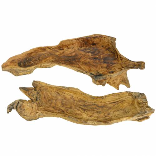 Floristik24 Burl träskål flamad 70cm x 27cm H12cm