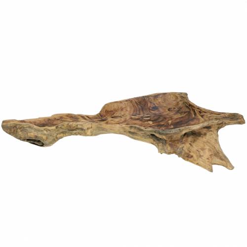 Floristik24 Burl träskål flamad 70cm x 27cm H12cm