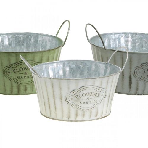 Floristik24 Plantskål i metall, vårblomkruka, planteringskruka med handtag grön, vit, grå Ø21cm H15,5cm set om 3