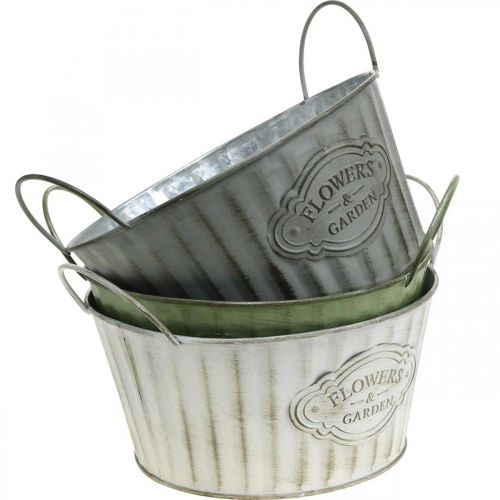 Floristik24 Plantskål i metall, vårblomkruka, planteringskruka med handtag grön, vit, grå Ø21cm H15,5cm set om 3