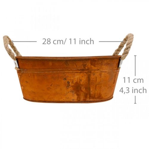 Floristik24 Växtkruka med handtag, örtskål, höstdekoration, patina L28cm H11cm