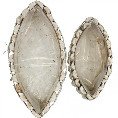 Floristik24 Växtskål, växtlåda i trä, jardiniere L37,5/28cm H10/9cm set om 2