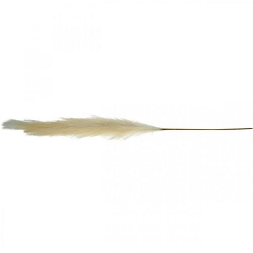 Floristik24 Feather Grass Cream kinesisk vass konstgjord torrt gräs 100cm 3st