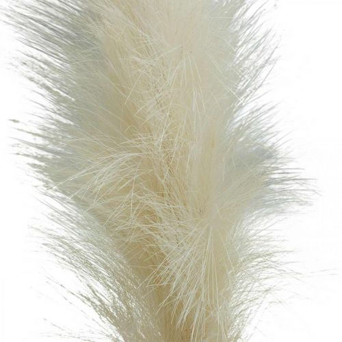 Feather Grass Cream kinesisk vass konstgjord torrt gräs 100cm 3st