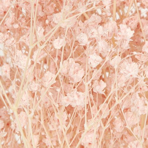 Artikel Gypsophila Dekoration Orange Torkade Gräs Persika 65-70cm 100g