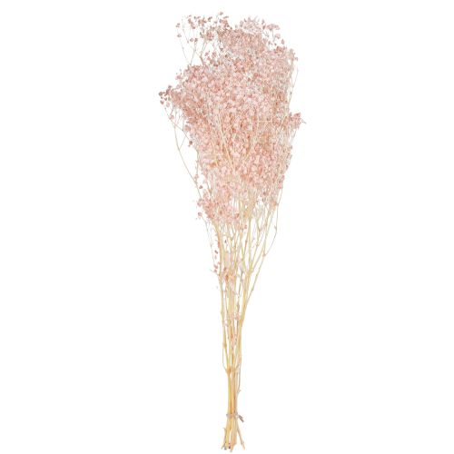 Artikel Gypsophila Dekoration Orange Torkade Gräs Persika 65-70cm 100g