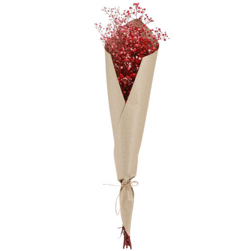 Artikel Gypsophila Gypsophila Torkade Blommor Röda 50cm 55g