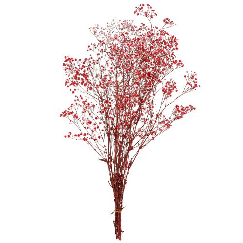 Artikel Gypsophila Gypsophila Torkade Blommor Röda 50cm 55g