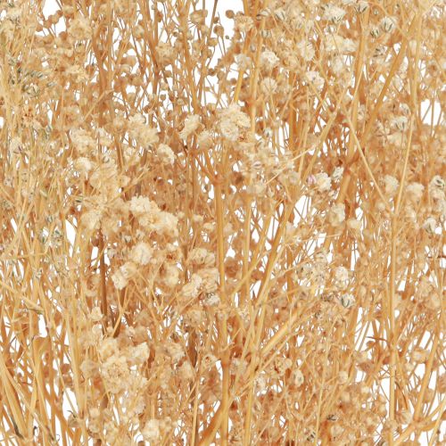 Artikel Gypsophila Pansy Gipsört Vita blommor 50cm 55g