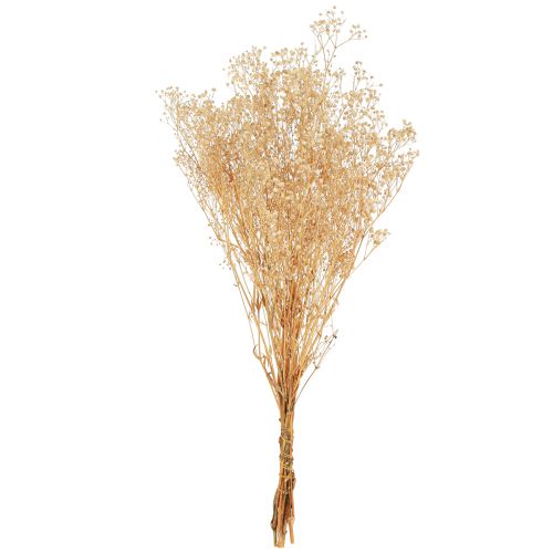 Artikel Gypsophila Pansy Gipsört Vita blommor 50cm 55g