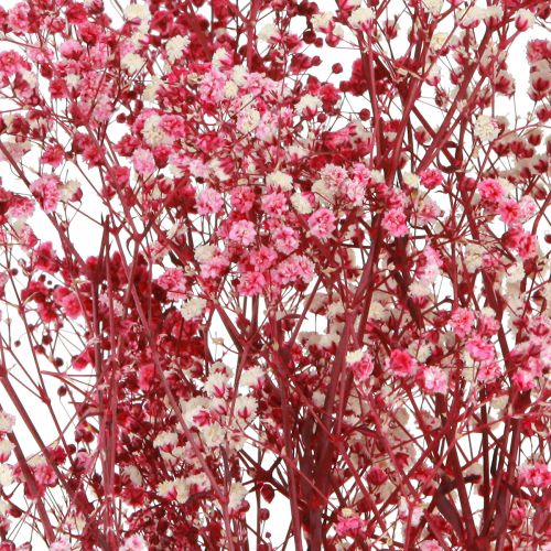 Artikel Gypsophila paniculate gipsört i bär L50cm 55g
