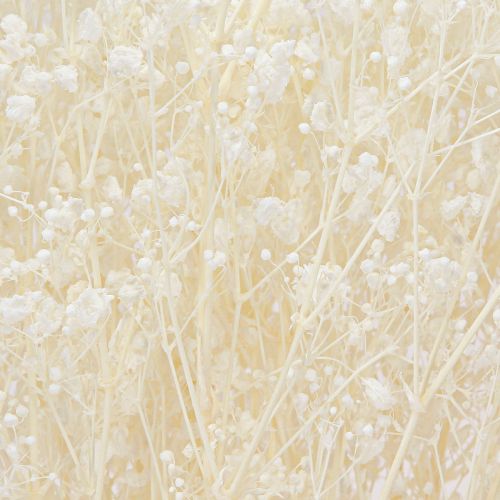 Artikel Gypsophila vita torkade gräs dekorationskräm 65-70cm 100g