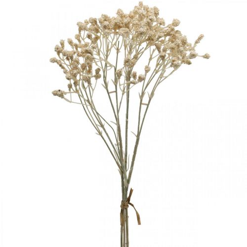 Floristik24 Artificiell Gypsophila Cream Gypsophila 46cm gäng om 3 stycken