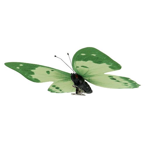 Floristik24 Fjärilsgrön på klämma 10cm - 11cm 6st