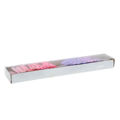 Floristik24 Butterfly 5cm rosa-lila röv. 24st