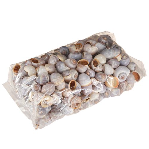 Artikel Snigelskal natur 1kg