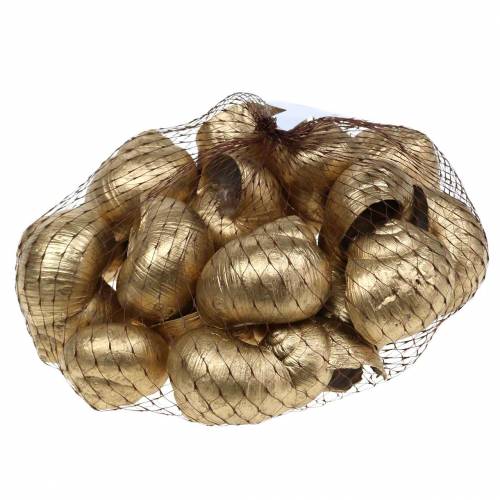 Floristik24 Snigelskal Golden 24 St naturlig dekoration