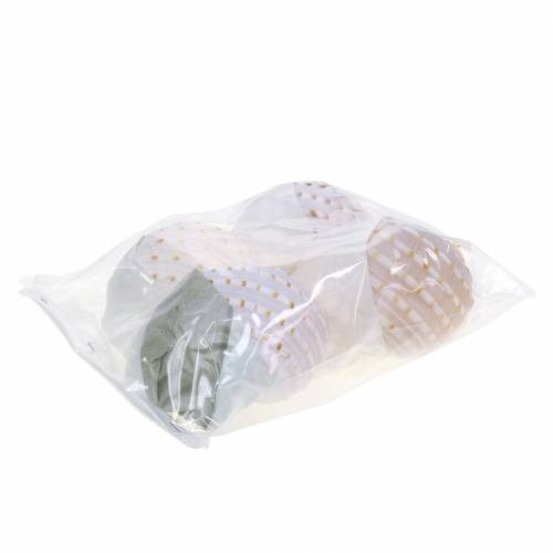 Floristik24 Dekorativ skalsnigel Tonna tessellata naturell 10-13cm 4 st