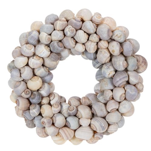 Floristik24 Snigelkrans för upphängning, dekorativ krans, maritim stil, Nathai, Ø35cm