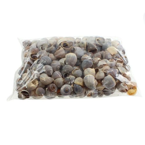 Artikel Snigelskal natur 1kg