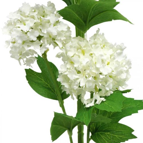 Floristik24 Snöbollsgren Konstgjord Växt Siden Blomma Vit Ø6,5cm L78cm