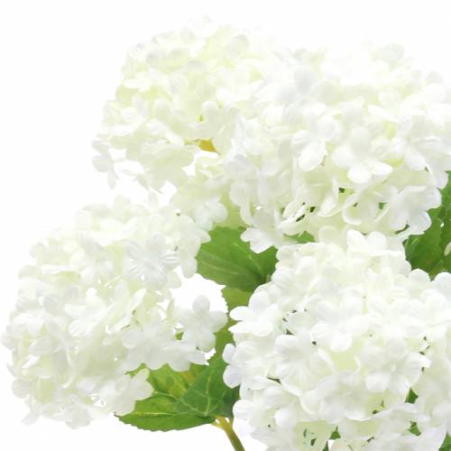 Floristik24 Snowball Viburnum Branch White 42,5cm