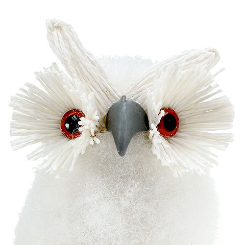 Floristik24 Snöugla vit 18cm