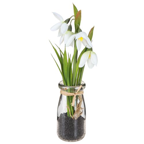 Floristik24 Snödroppar konstgjorda i glas konstgjorda blommor vit 22,5cm 2st