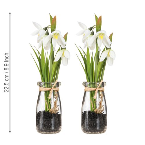 Artikel Snödroppar konstgjorda i glas konstgjorda blommor vit 22,5cm 2st