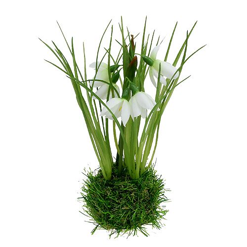 Floristik24 Snödroppe med gräsboll 24cm