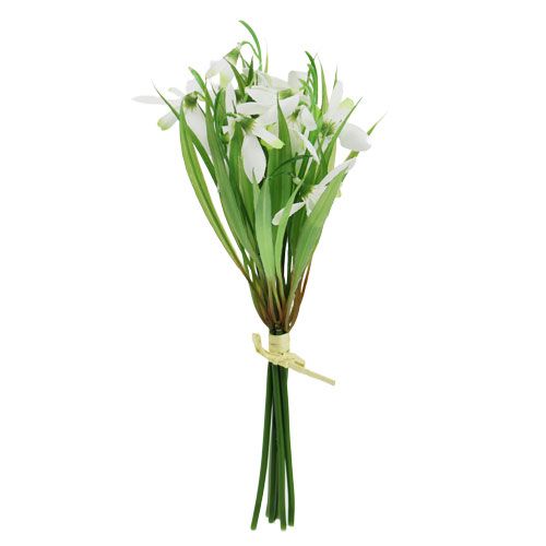 Floristik24 Snödroppe 23cm 7st