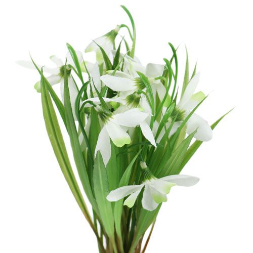Floristik24 Snödroppe 23cm 7st