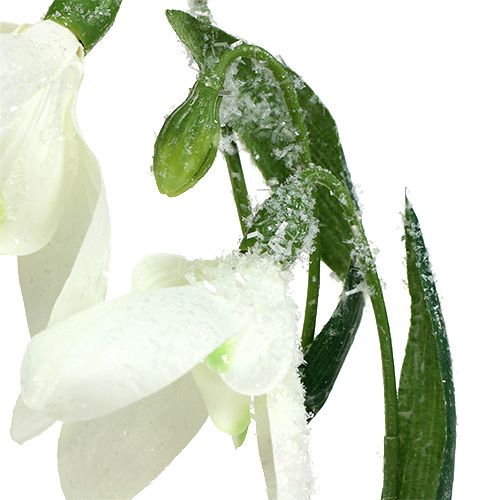 Floristik24 Snödroppar L48cm täckt av snö