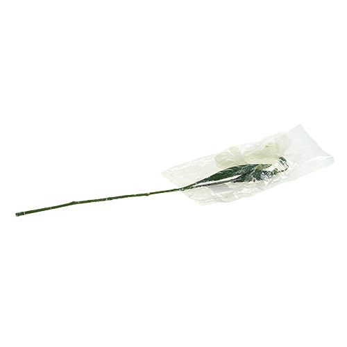 Floristik24 Snödroppar L48cm täckt av snö