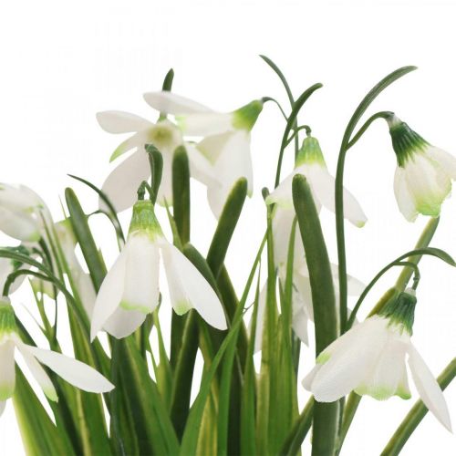 Floristik24 Konstgjord snödroppe, konstgjord snödroppeblomma 25cm