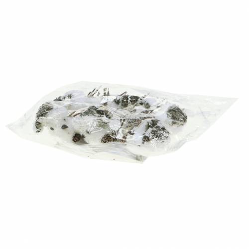 Floristik24 Snöfågel på klämma 8cm x 6,5cm 6 st