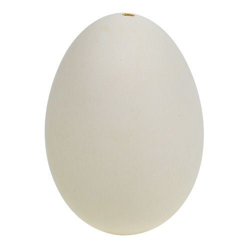 Floristik24 Svanägg 9cm gräddvita 6st