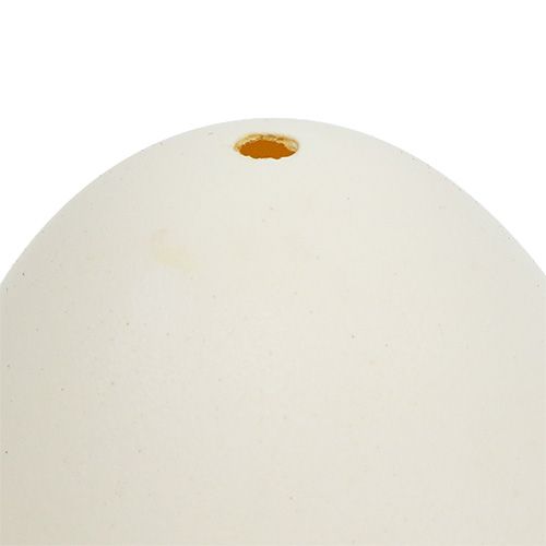 Floristik24 Svanägg 9cm gräddvita 6st