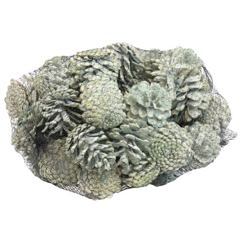 Artikel Svarta kottar grön frostad naturdekor 5–7cm 1kg