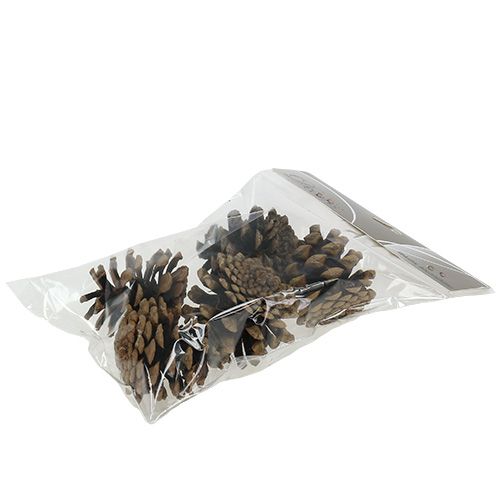 Artikel Svarta kottar 5cm natur 5st