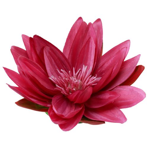 Floristik24 Flytande näckros konstgjord bordsdekoration fuchsia Ø15cm 2 st