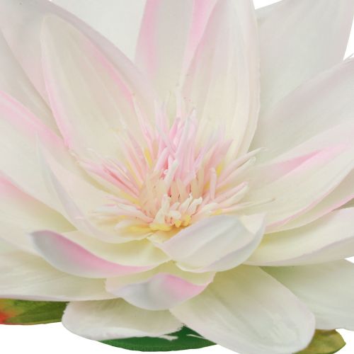 Artikel Flytande näckrosor konstgjorda bordsdekorationer vita, rosa Ø15cm 2 st