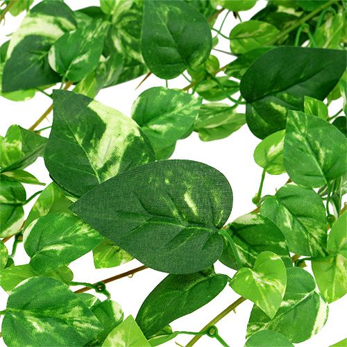 Floristik24 Scindapsus tendril artificiellt 90 cm